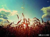 温州市格悦网络科技有限公司