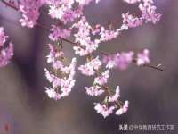 温州市格悦网络科技有限公司