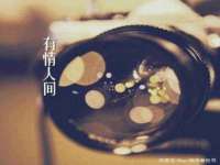 温州市格悦网络科技有限公司