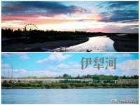 温州市格悦网络科技有限公司
