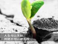 温州市格悦网络科技有限公司