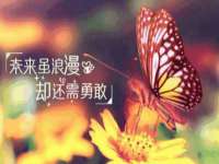 温州市格悦网络科技有限公司