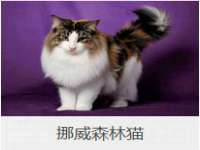 温州市格悦网络科技有限公司