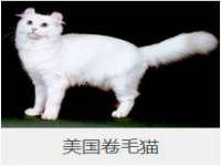 温州市格悦网络科技有限公司