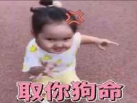 温州市格悦网络科技有限公司