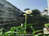 温州市格悦网络科技有限公司