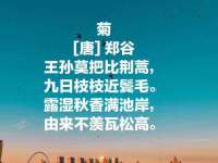 温州市格悦网络科技有限公司