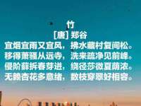 温州市格悦网络科技有限公司