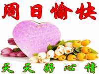 温州市格悦网络科技有限公司