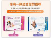 温州市格悦网络科技有限公司