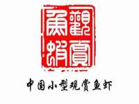 温州市格悦网络科技有限公司