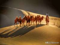 温州市格悦网络科技有限公司