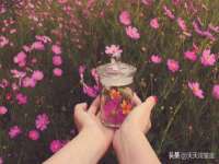 温州市格悦网络科技有限公司