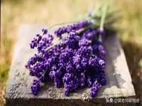 温州市格悦网络科技有限公司