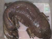 温州市格悦网络科技有限公司