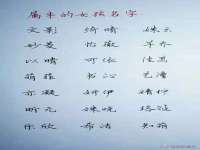温州市格悦网络科技有限公司